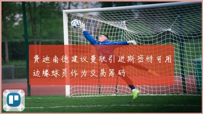 费迪南德建议曼联引进斯密特可用边缘球员作为交易筹码
