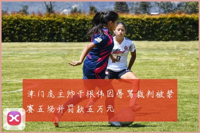 津门虎主帅于根伟因辱骂裁判被禁赛五场并罚款五万元