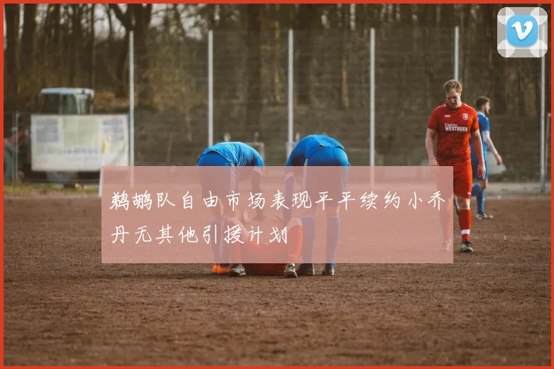 鹈鹕队自由市场表现平平续约小乔丹无其他引援计划