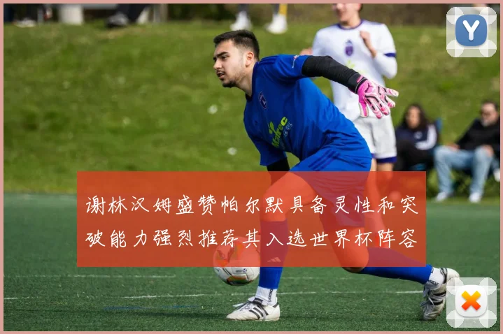 谢林汉姆盛赞帕尔默具备灵性和突破能力强烈推荐其入选世界杯阵容